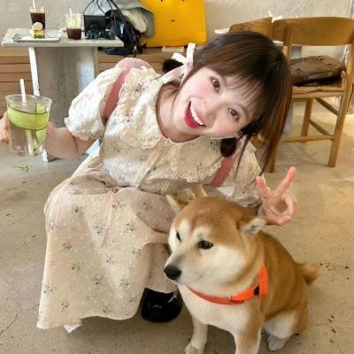 继承之战第四季