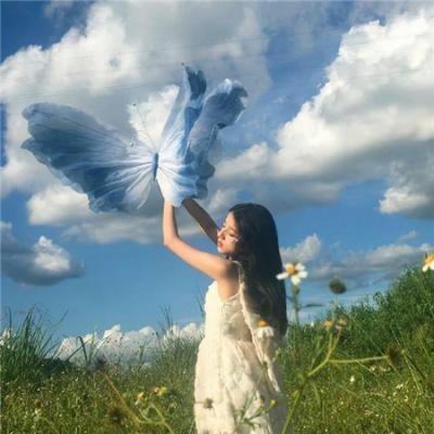 向政府说不